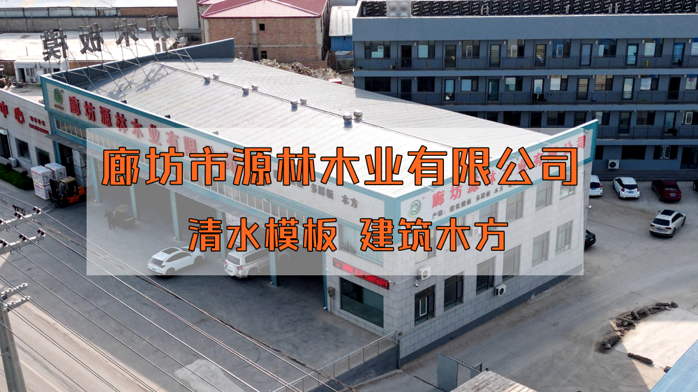 沈陽_源林木業(yè)建筑模板鋪裝生產(chǎn)線實景